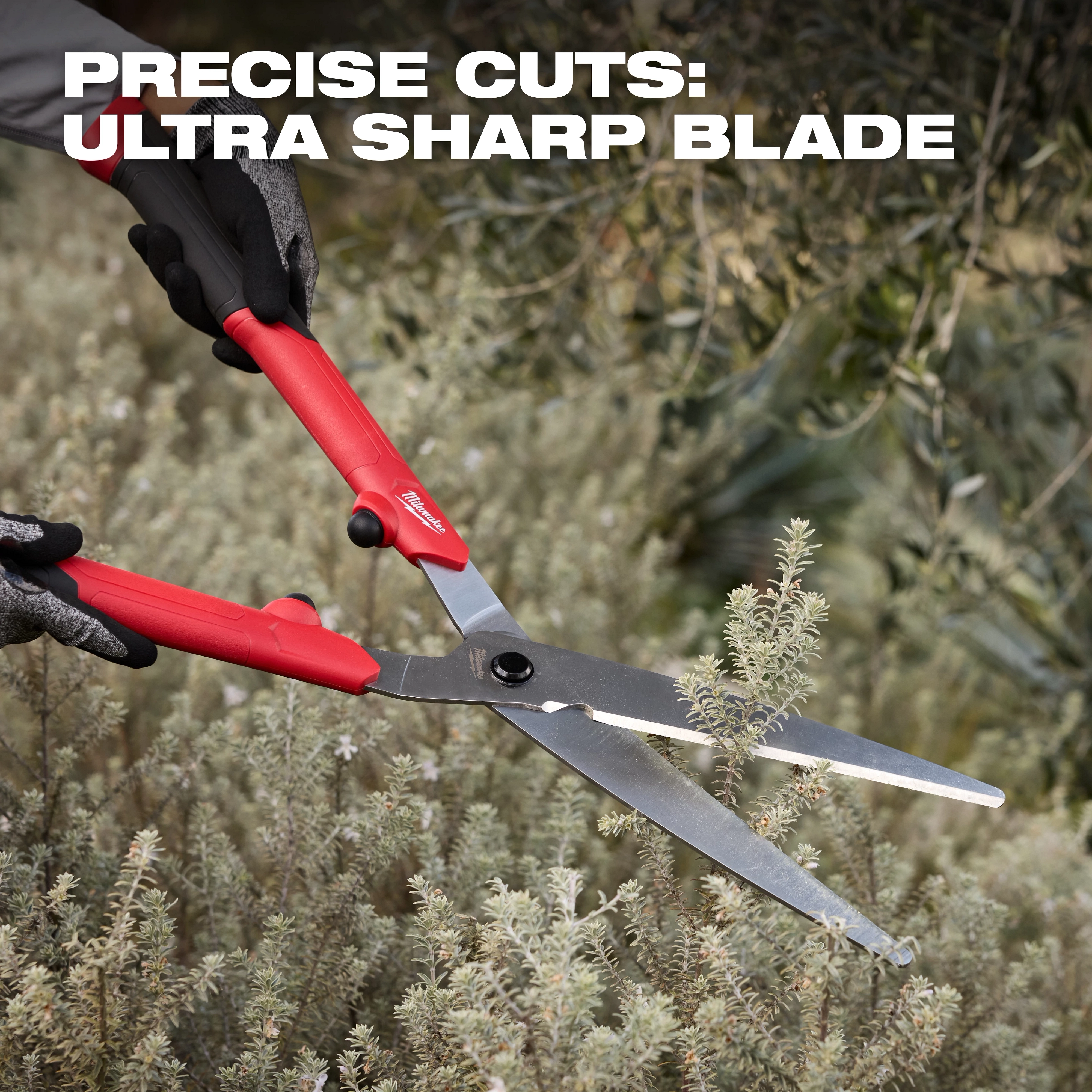 10” Hedge Shears​ with red handles cutting small shrubs in a dense garden area.